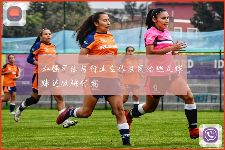 加强司法与行业合作共同治理足球球迷极端行为